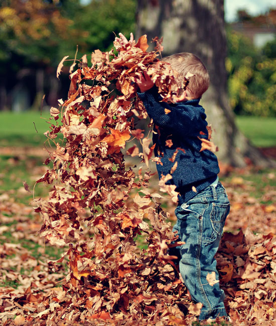 Attention Deficit Hyperactivity Disorder