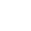 Logo Icon