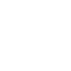 Logo Icon